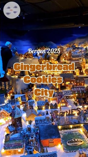 Gingerbread Cookies City in Bergen 2025/short 3/3
