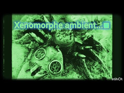 DARK ALIEN AMBIENT / HEADPHONES EXPERIENCE / SOMA COSMOS / LYRA-8 / ENNER / HAKEN CONTINUUMINI