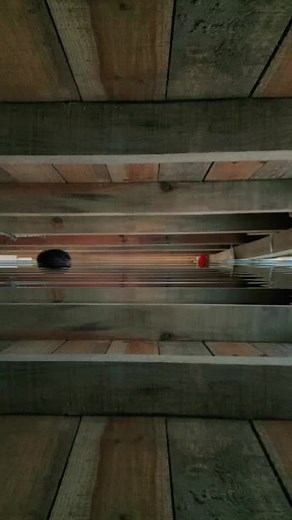 Exploring Rustic Wooden Beams: A Hands-On Experience