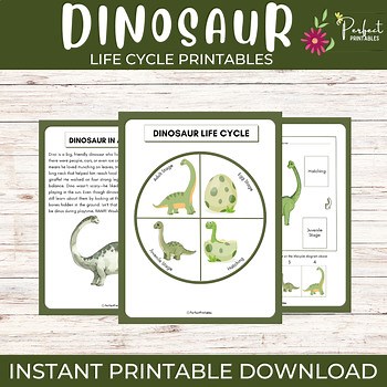 Dinosaur Life Cycle Worksheet | Reptiles Unit Study With Fun Facts!