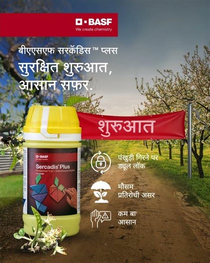 BASF Sercadis Plus: A safe start, an easy journey