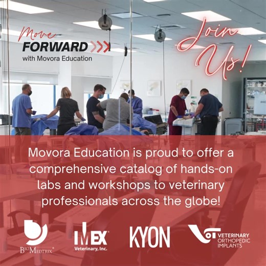 Why should YOU join Movora Education at an upcoming surgical training workshop? 👩‍⚕️ Expert-Led Learning: Get hands-on training from industry-leading professionals 🦴 Expand Your Expertise: From trauma & fracture to joint management or replacement & beyond 🔬 Cutting-Edge Techniques: Stay updated on the latest procedures shaping veterinary medicine 🌍 Global Offerings: Explore our catalog of workshops across the world & expand your network Claim your spot at an upcoming workshop & level up your