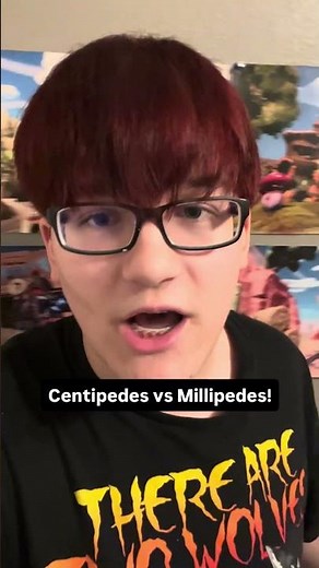 Centipedes vs Millipedes! #insects #insect #bugs #bug #fyp #centipede #millipede #nature #entomology