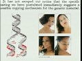 Lec 15 - Biology 1A - Lecture 16: DNA:...
