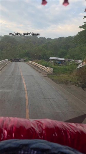 Daan na palaging basa kahit di umuulan 😅👌 #byahengtawed #fypシ゚ #mindanaoliner #teambyaheros #buhaytruckdriver #Trucking #truckerlife #TruckDriverLife #helper #truckdriver #orientalmindoropride #truckerlife #SipagAtTyagaLang | Lanite Rommel