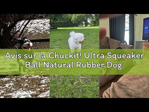 Avis sur la Chuckit! Ultra Squeaker Ball Natural Rubber Dog Toy Medium 2.5" Diameter - 3 Pack