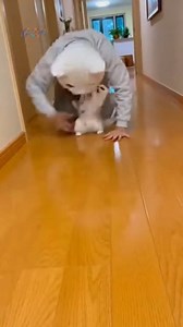 Lesson learned: never test a scary mask around a fearless cat. 😼⚡ #funny #catvideo #crazycat #funnyanimals #viral | NextGen Visuals Sr