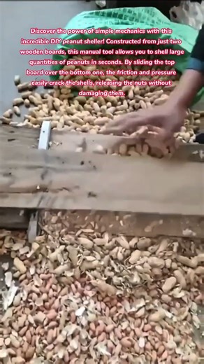 Genius 2-Board DIY Peanut Sheller! 🥜🛠️ #tools #tips #tricks #lifehacks #peanuts #farming #food #how