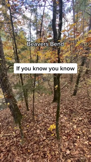 Beavers Bend State Park. #oklahoma #oklahomacheck #stateparks #fall #foliage #photography #photo @metalfingersmiddlefinger @wanderwithwallace