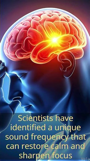 CL-0014-V01b4 - THE BRAIN SONG REVIEW
