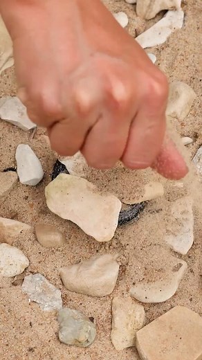 حيل سرية للإخفاء عليك معرفتها! 🏖️🕵️‍♂️ | الجانب المشرق Bright Side Arabic