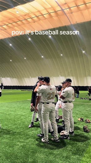 A Girl's Journey in the Baseball World