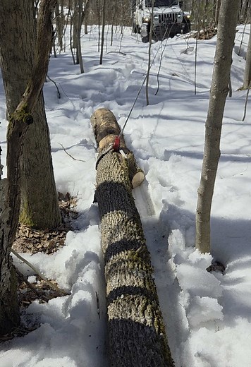 Tasha McDonald on TikTok