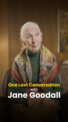 What happens when you combine decades of caring for nature with a humanitarian mission? You form a partnership that empowers youth and is good for the planet. Just before her passing earlier this month, we got a chance to sit with veteran environmentalist Dr. Jane Goodall and speak about her vision for the future. In pursuit of a better future for everyone, we are partnering with the Jane Goodall Institute of Canada. We know that the lifetime Jane spent studying chimpanzees at Gombe National Par