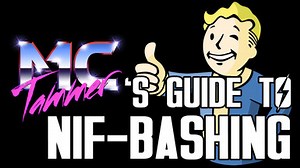 Tammer's Guide to NIF-Bashing