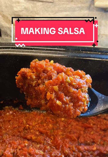 Easy Homemade Salsa Recipe from Garden Ingredients