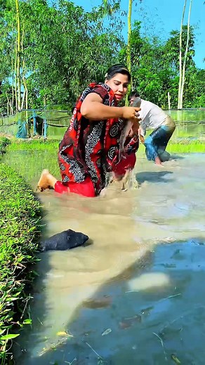 The snake tricked the fish. | SA fish world