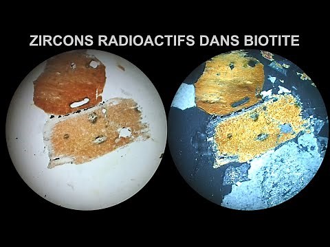 Zircons radioactifs dans biotites Immersion 360° LPnA vs LPA x 100