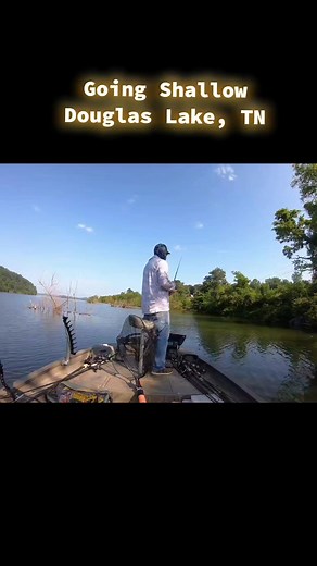 6/6/25 Shallow water jig fishing on Douglas Lake, TN with Captain Nathan. #greatsmokymoutainfishing #nathanmountainoutdoors #seviervillefishing #douglaslake #gatlinburgfishing #bassfishing #greatsmokymountains | Nathan Mountain Outdoors Fishing and Hunting Guide Service