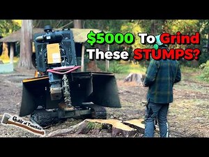 I HAVE NEVER had to grind THIS MANY STUMPS BEFORE!!
