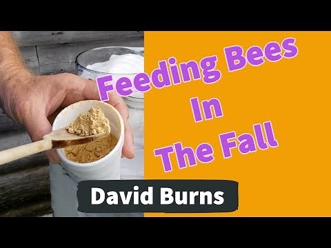 Beekeeping Feeding Bees In The Fall