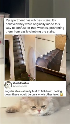 Witch stairs designed to trap witches 😂 #meme #architecture #fail