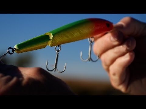 Everything You Need to Know About the PLINE Angry Eye – Full Breakdown