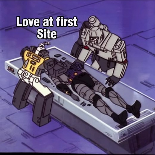 Transformers G1 Megatron and Nightbird Dynamic Duo