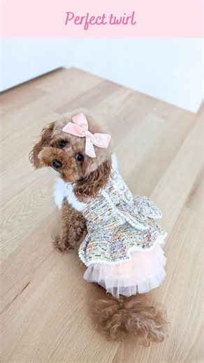 Chiffon the Maltipoo : Dog-friendly lifestyle, dog mom & fashion on Instagram: "It twirls just perfectly! I love a cold weather coat that doubles as a dress 🐶🐾 #dogfashion #dogs #maltipoo #cutedogs #toypoodle #ootd"