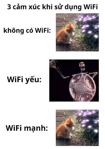 Trò Chơi Không Cần WiFi Nổi Bật