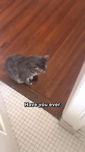 116K views · 3.9K reactions | THIS Is Why Cats Get Worried When You’re Inside The Bathroom 梁 | Lady Cuddles Meow | Facebook