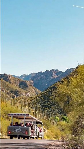 Sabino Canyon