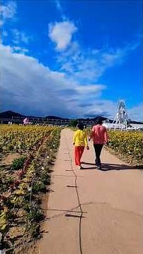 제71회 공주 백제문화제