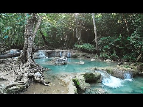Entspannungsmusik - Sanfte Natur - Einschlafmusik