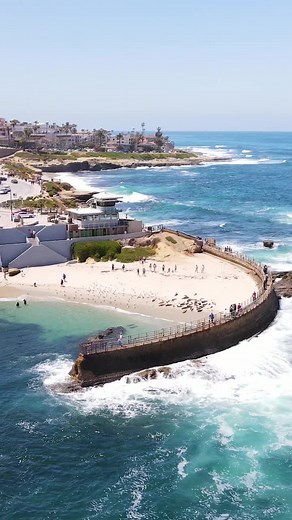 Exploring the Seals and Beaches of La Jolla, California