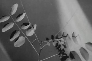 15 reactions | Check out three avant-garde films by Hans Richter with...