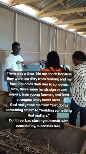 Are you a beginner in snail farming? Start exactly where you are! Ready? WhatsApp 08078630043 #beginnertips #snailfarming #agriculture #farmingtips #snailtips #sustainablefarming | NG Snails