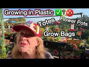 What To Know Before Growing In Plastic Containers for Food Vegetable Container Gardening RAISED BED