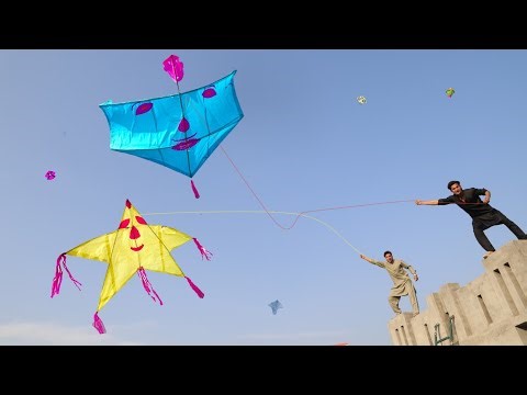 Star Kite Vs Bablu Kite Catch With Blue Blood Fighter Door Pina Make