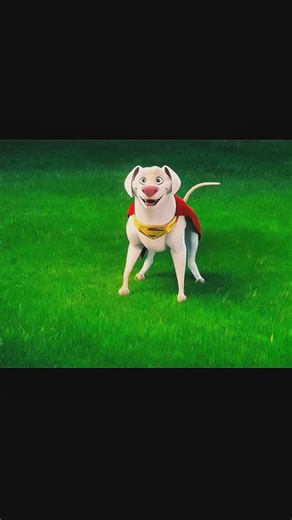 animation on Instagram: "DC League of Super-Pets’ end credit scene. #animation #movie #instagram"