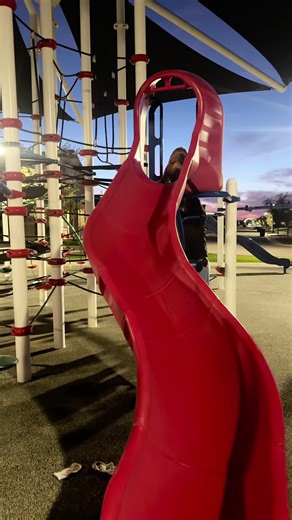 The Cute and Quirky Nature of Golden Doodles