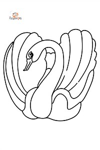 Black Swan coloring page ♥ Online or Printable for Free!