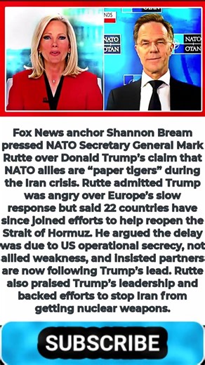 Shannon Bream Grills NATO Chief Over Trump’s ‘Paper Tiger’ Attack