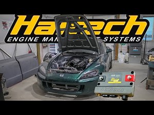 Wiring an LS Swap S2000 for HALTECH