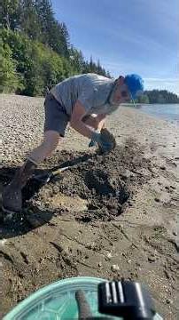 I Dug a Giant Geoduck in 60 Seconds. World Record?