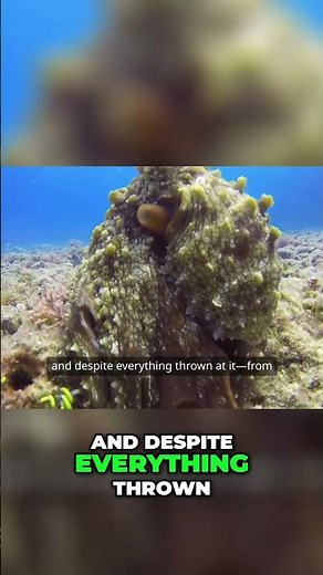 Unveiling SCP-682: The Indestructible Reptile Threat