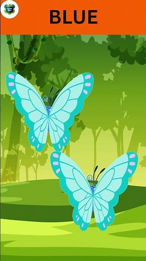 Learning Colours for Kids | Fun Color Recognition for Toddlers & Preschoolers 🎨