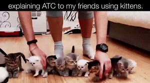 That's a lot of pussy. 🐱✈️ #squawkdirtytome shop.atcmemes.com | ATC Memes