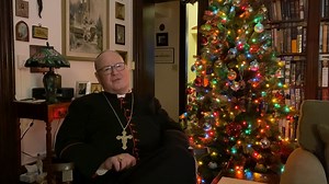 11K views · 1.3K reactions | Today is the feast of Elizabeth Seton, the first native-born American citizen to be canonized a saint. She wasn't a Catholic originally. After her husband died, she entered into the Catholic faith. We can learn from her deep devotion to the Mass and Blessed Sacrament. | Timothy Cardinal Dolan | Facebook