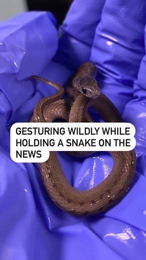 Veronica | My Italian ancestors are looking down upon me proudly. It’s a good thing that Severus is so tolerant, I had no idea I was doing this... | Instagram